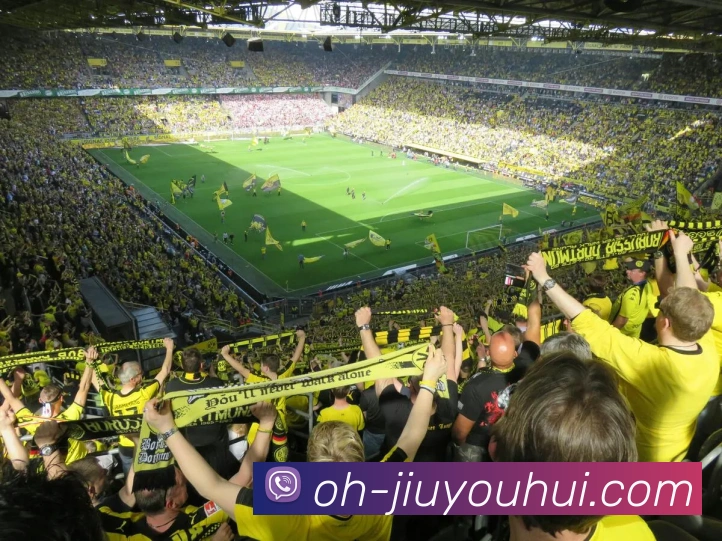 九游会J9官网APP 高清赛事图